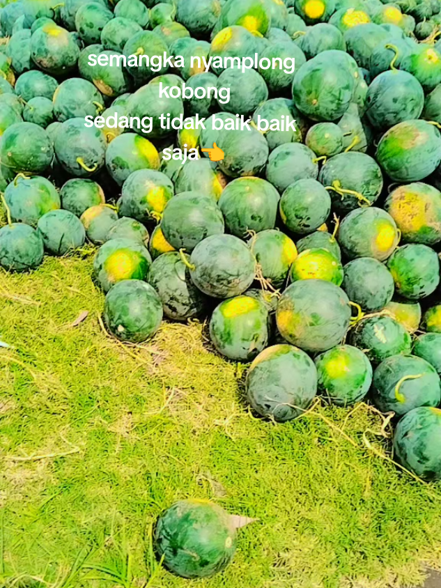 harga tergantung kualitas #promomakanharian  #fyppppppppppppppppppppppp 