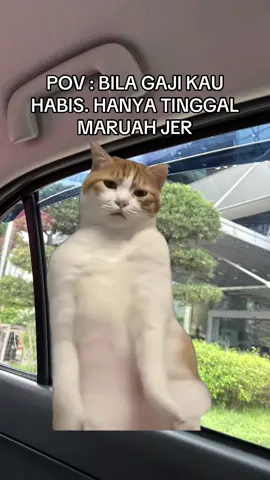 Hahahah baru tengah bulan 😭😭 #bangkitdarijatuh #jomikhtiar 