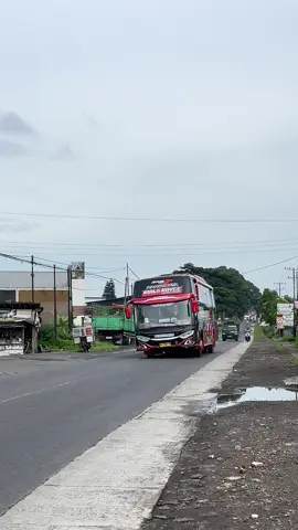 oleng😭🤙 #busmania #maniatemanggung #basurimusicalhorn #fyp #lewatberanda 