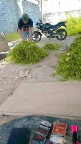 sobat ngaret#masiyun #foryoupage 