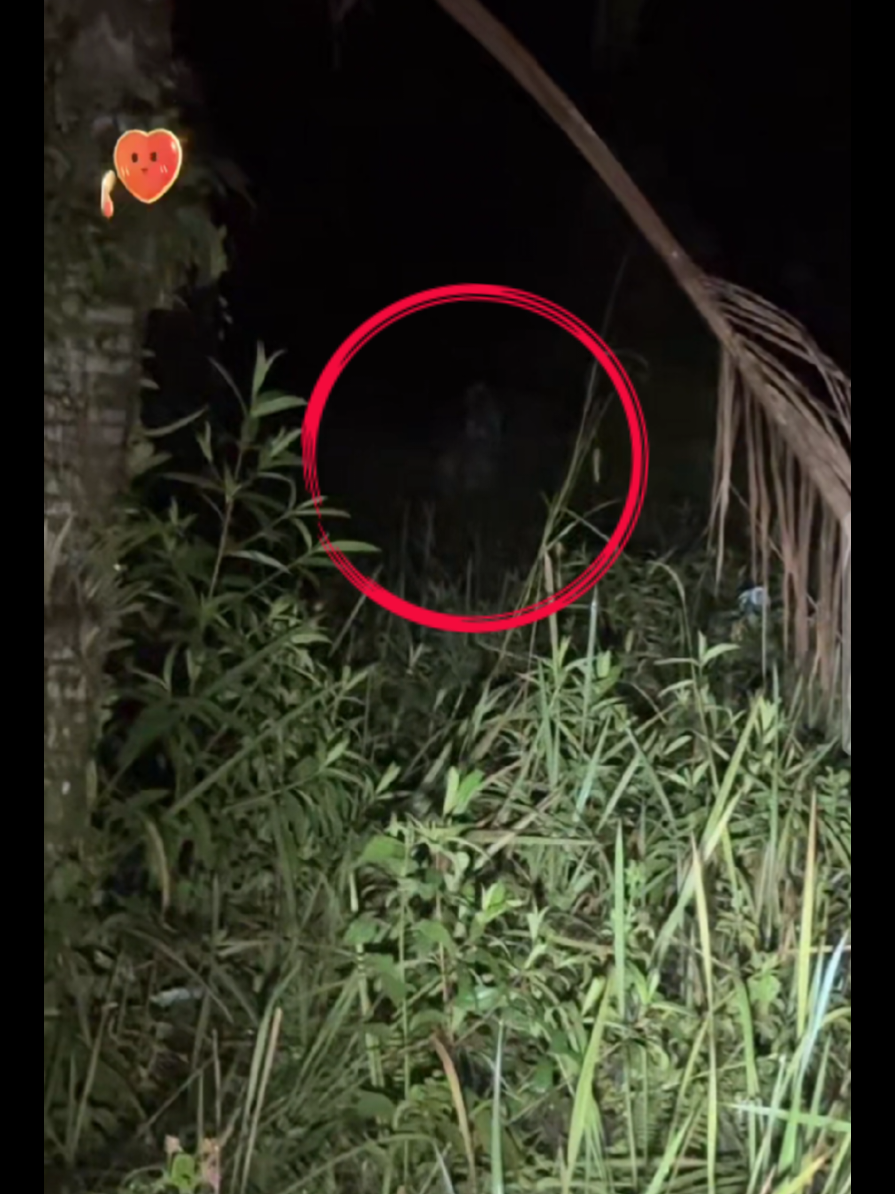 POCONG=BAPAK BAPAK=SUKA MUSIK DANGDUT🤔 @UdinJoni @RoomNeraka @UdinJoni/RoomNeraka #fyp #udinjoni #jelangskuy #roomneraka #hororkomedi 