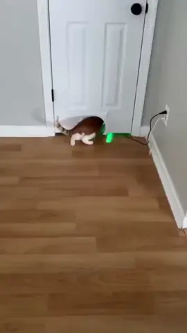 azekk tak geleng2#😆 