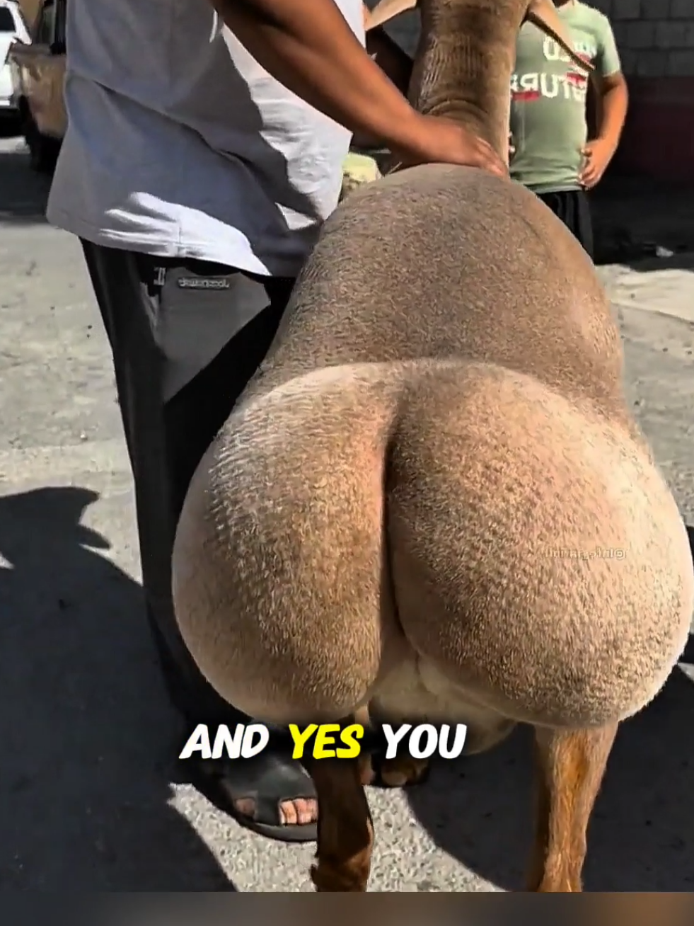 #trending #globalinformation #foryou #usa #english 