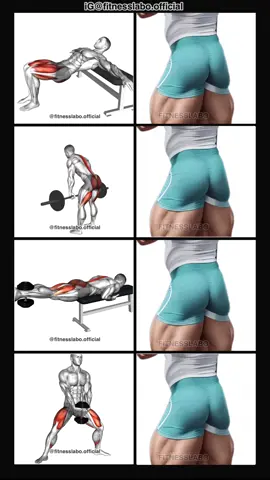 ✅ Exercises for Bigger Glutes  ① Hip Thrust  ② Romanian Deadlift  ③ Reverse Hyper Extension  ④ Plyo Squat  3 sets 12-15 reps