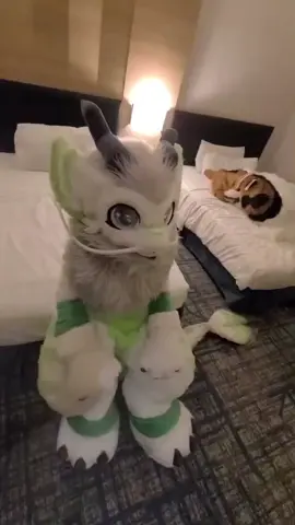 lahhhh🗿 #furryfandom #furries #furryfritz #furry #cute 