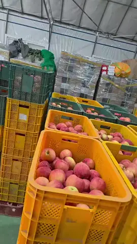 Cần ld từ vn sang làm cho nhà mình nhé