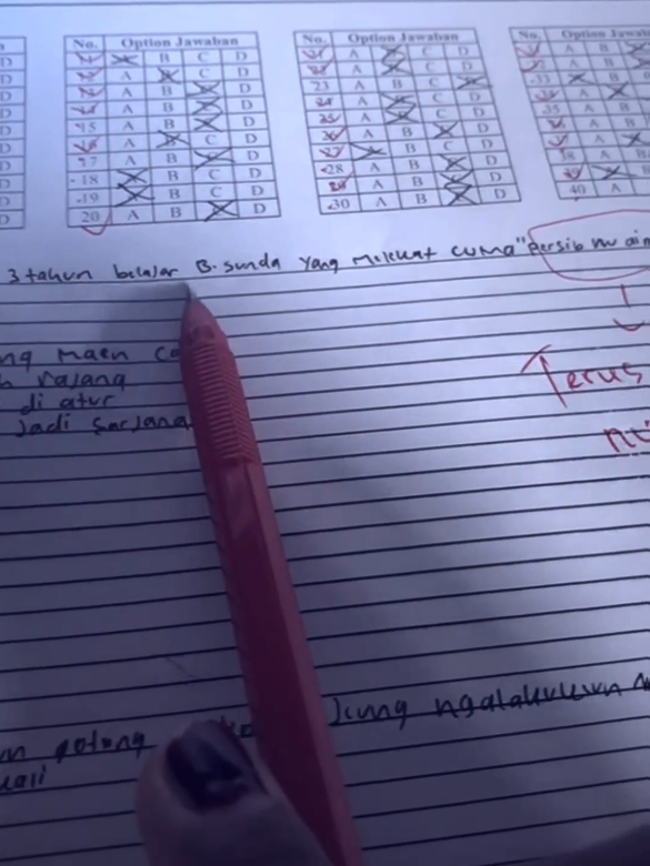 Persib nu aing, terus aing nu saha🙃 #persibbandung #bobotohpersib1933 