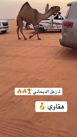 #زعل_الديحاني #هقاوي #غازي_الذيابي 