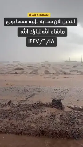 النخيل الان #صالح_حمدان_العوفي #النخيل #اكسبلور #الحناكيه #ترند 