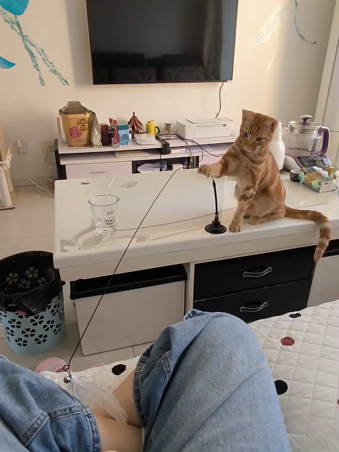 Ngược vai rồi mài =))) #mèocon #senkhongbietgian #mèo #mèodễthương #mèocute