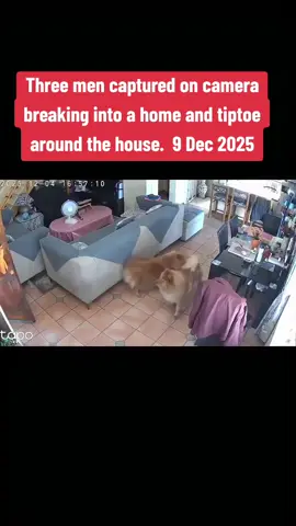 #newsstories #newsnexussa #incaseyoumissedit #southafricatiktok🇿🇦 