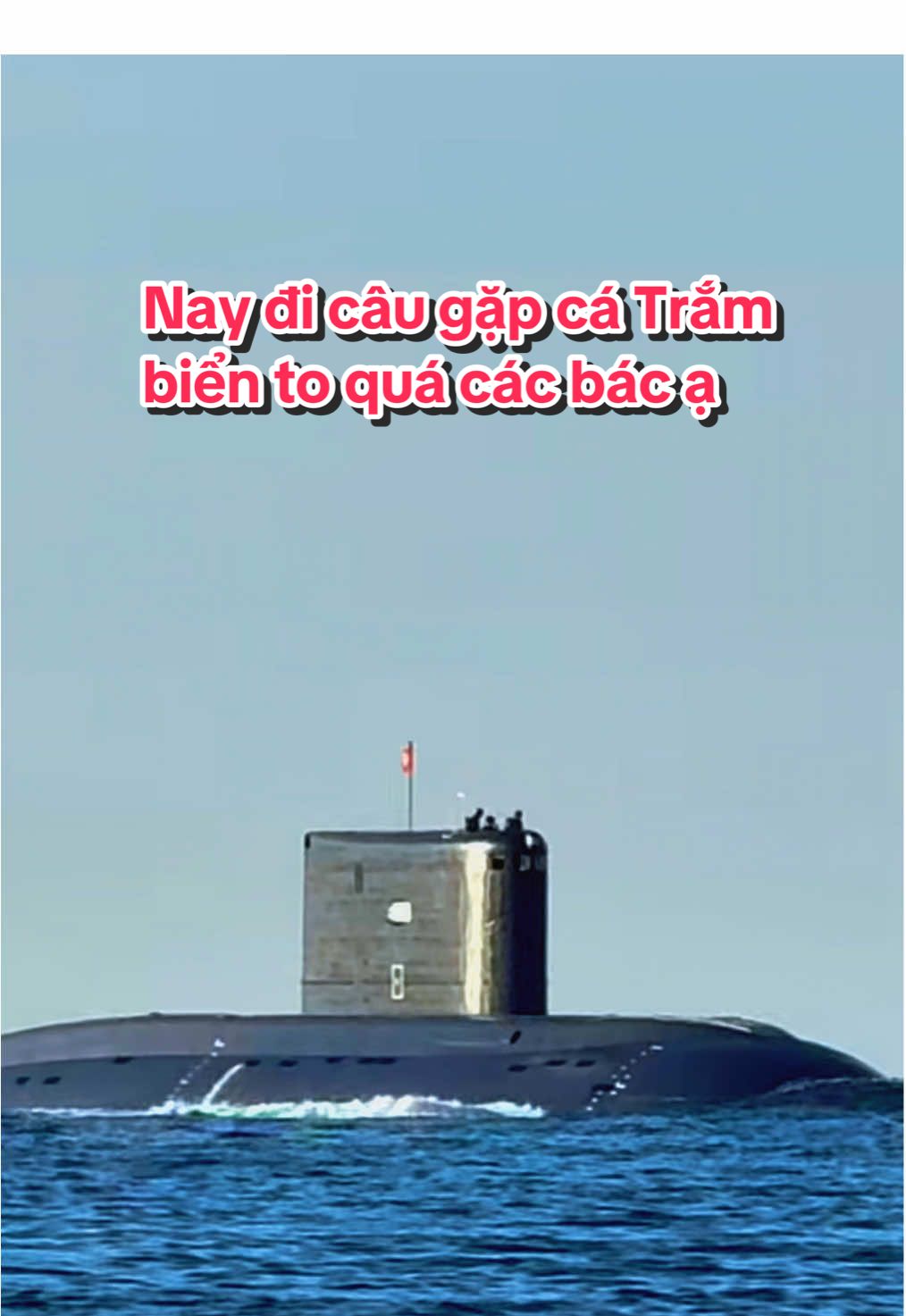 Nay đi câu gặp “cá” gì to quá các bác ạ😁 #bodoi #haiquanvietnam #quandoinhandanvietnam #xuhuong #viralvideo 