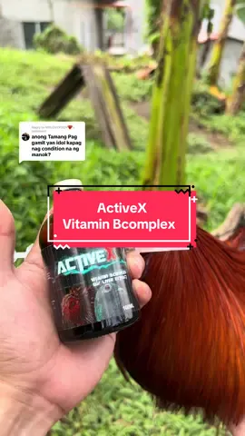 Replying to @MRLOVERBOY♥️ ito na boss #manokpanabong #manok #vitamin #bcomplex #conditioning 