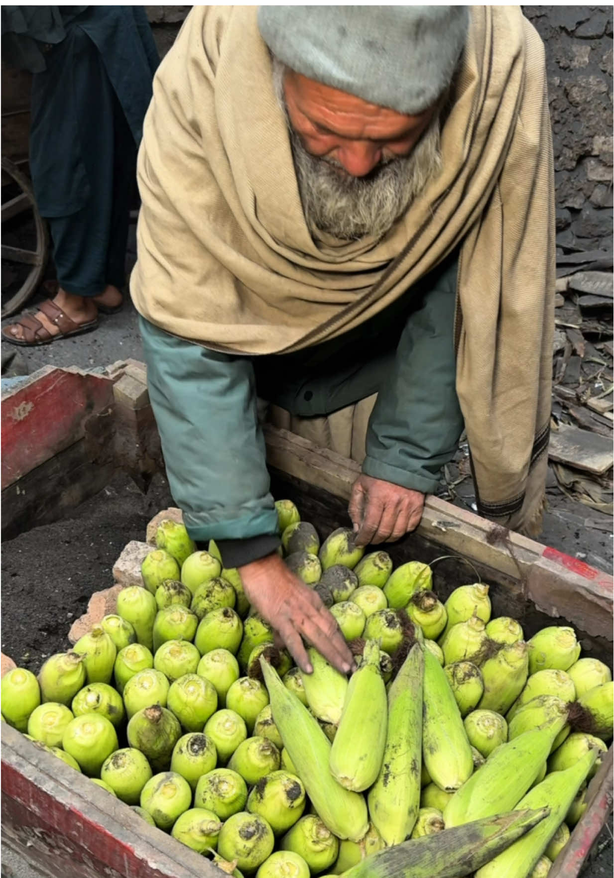 100 Years Old Method of Making Corn | Challi (Wagge) Cooking in Coal Ash | Steam Corn | Andaroon Peshawar | Kp Food Diaries #corn #making #desimethod #kpfooddiaries 