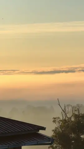 ပြတ်ပြတ်သားသား စွန့်ပစ်လိုက်တော့မှသာ နစ်နာသူလိုဟန်ဆောင်ကြတာ မစွန့်ပစ်ခင် စွန့်ပစ်နိုင်ဖို့အတွက် အရေးမပါ အရာမရောက်မှုတွေ မလေးမစားဆက်ဆံခံရမှုတွေ မစွန့်ပစ်နိုင်လို့ အိပ်ပျက်ရတဲ့ညတွေ နားလည်ပေးခဲ့ရမှုတွေ ကိုယ်တိုင်ပဲ ကြိတ်မျိုသိပ်ခဲ့ရတဲ့ ဝမ်းနည်းမှုတွေနဲ့ ခက်ခဲပင်ပန်းခဲ့တဲ့ တစ်လျှောက်လုံး မျက်ကွယ်ပြုလာကြပြီးတော့လေ #Crd  #shinbweyang  #Naga