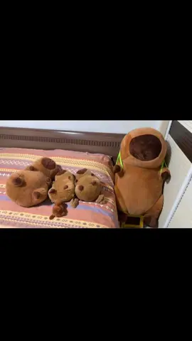 capybara maxiaoyu sedang rapat berjamaah sedang di pimpin sm si big capybara itu ibu nya apa bapa nya😭🤣🤣🤭#maxiaoyu马小宇 #capybaya🐹 gemoyyyy bangettt