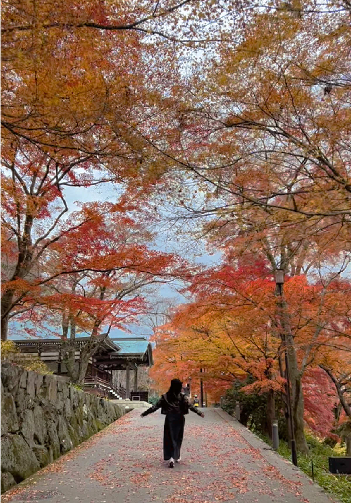 Mỗi khi bộn bề lại được dẫn đi… lúc này chùa đẹp lắm rồi đấy ah #katsuojitemple⛩ #autumn #autumnvibes 