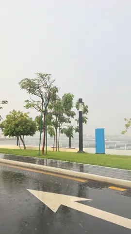 Nothing beats Jeddah rain⛈️#explore #امطار_جده #جدة #جده_الان 