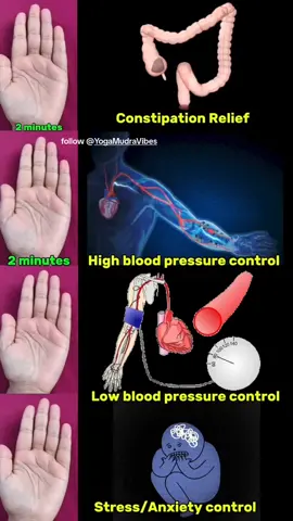 Daily hand Mudras 🧘🧿 #fyp #yogamudra #handmudras #fyp #shiva @OmVision 