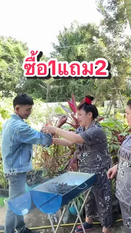 หอมมากกก #ซ้อฝัน #ครีมรักแร้ซ้อฝัน #ครีมรักแร้ขาว #ยายหน่อยป้อยแซ่บ😂  #ยายบลน้องยายหน่อย  