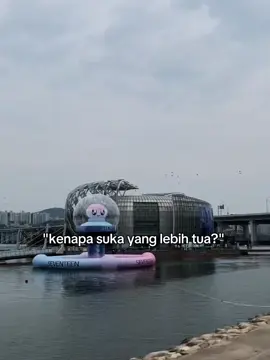 #seventeen #fyp #trending 