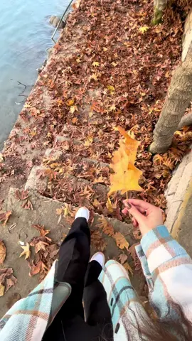 #الشعب_الصيني_ماله_حل #explore #foryou #meme 