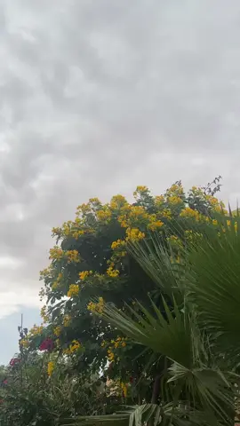 #طلعاتي_وتصويري_امطار_اكسبلور 