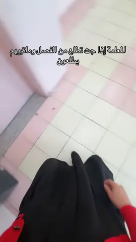 #اكسبلوررررر #الشعب_الصيني_ماله_حل😂😂 #حايلندا #foryoupage #رياكشن 