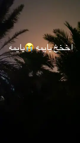 #مسلم_الوائلي #مرتظى_حرب #يايمه💔😭💔😭 