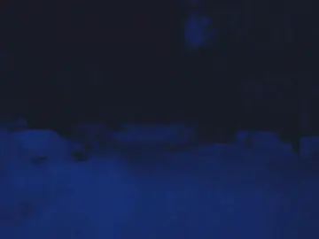 ‘satellites’ w/ @Nato Kitch out this friday! pre-save link in bio #oneheart #bluehour #fyp   