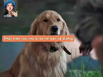 Tới giờ vẫn không hiểu sao lại có người nuôi thú cưng rồi h/à/n/h h/ạ tụi nhỏ 🙂 #tiemphimquaquyt #kdrama #jungkyungho