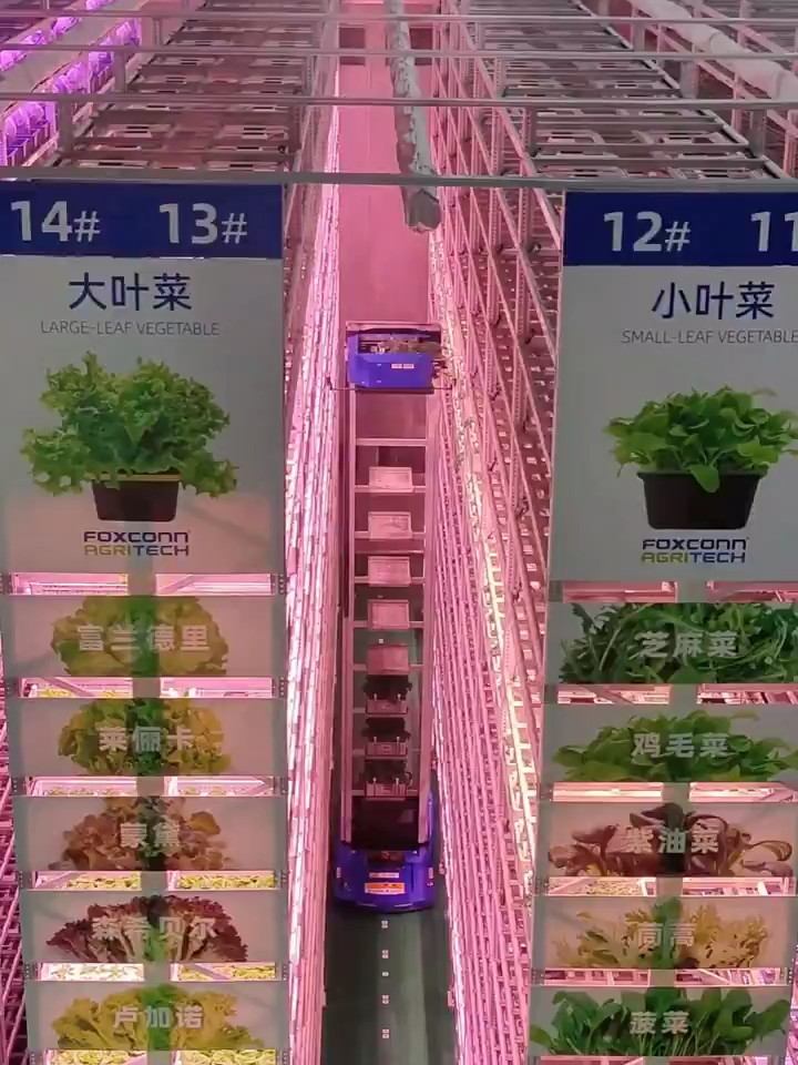 This isn’t sci-fi. It’s a farm that plants, grows, and harvests automatically. Fully automated technology is redefining agriculture in China. #TechForGood #chineseagriculture#agriculture #innovation