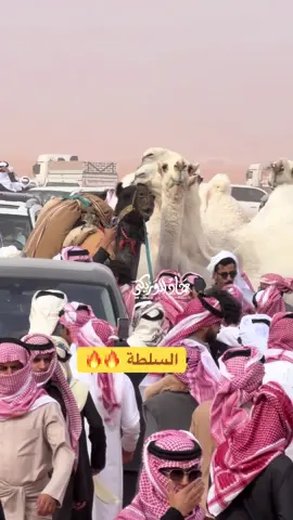 #السلطة #وضح #الصياهد #مهرجان_الملك_عبدالعزيز_لمزاين_الابل10 #اكسبلور 