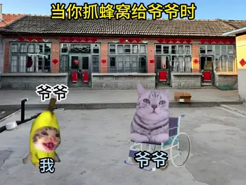 当你抓蜂窝给爷爷时 #猫meme #catmemes #搞笑 #万万没想到 