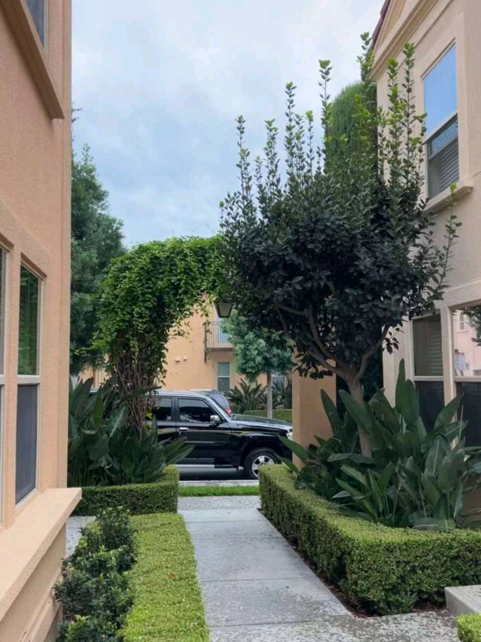 #creatorsearchinsights #highschool #schoollife #studylife #fyp 