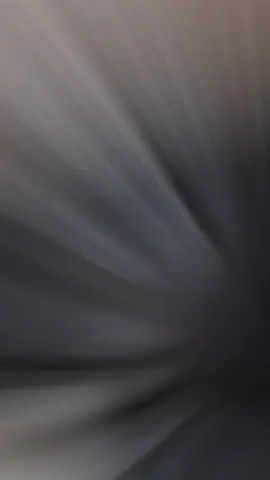 Anh có muốn nuôi 1 bé mèo hông nè