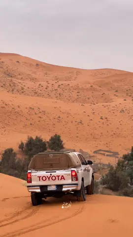 صباح اليوم في واحة المنسف ♥️🤙. #اكسبلور #الرياض #حايل #الزلفي #المنسف 