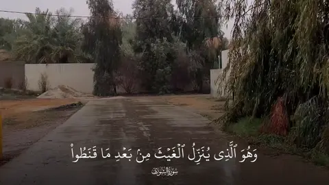 الله سبحانه هو المتفرد بإنزال المطر النافع للعباد (الغيث) بعد يأسهم من نزوله (القنوط)، فيُحيي به الأرض وينشر به الخير (الرحمة)، وهو المتولي لشؤون خلقه (الولي) والمحمود في كل أفعاله وأحكامه (الحميد) #ناصر_القطامي #fyp #الزلفي 