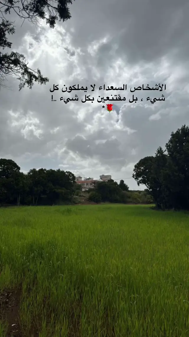 #explore #foryoupage #fyp 