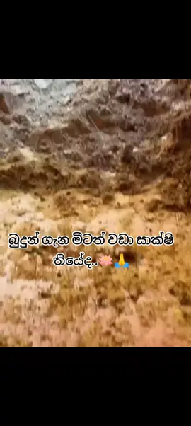 බුදුන් ගැන මීටත් වඩා සාක්ෂි තියේද..#සාදු🌸🙏සාදු🌸🙏සාදු🌸 #බුදුසරණයි_හැමෝටම☸️♥️🙏 #trndingvideo #onmillionaudition #froyoupage 
