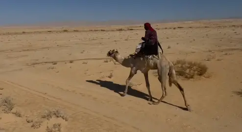 #اكسبلورexplore #غزيلان #الحميمه_العقبه_الاردن 