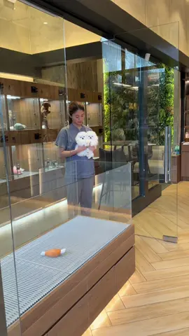 Yung pangarap mo! 🥺