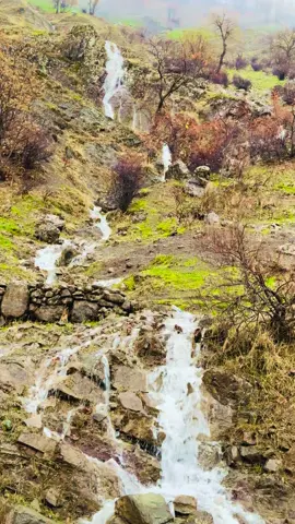 #mergasor #piran #hawler_