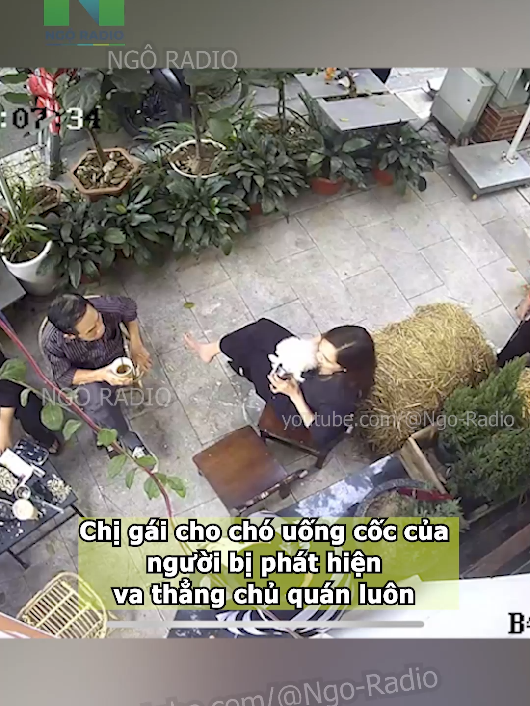 Chị gái cho chó uống cốc của người bị phát hiện  va thẳng chủ quán luôn#cuocsong #ngoradio #tintuc #viraltiktok #phapluat