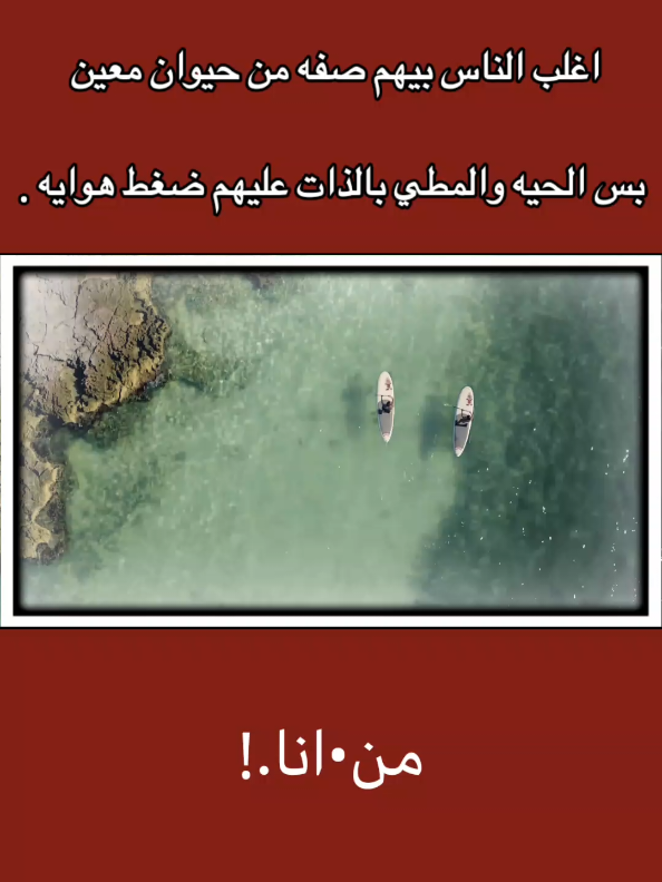 #قتباسات_حزينة🖤🥀 #عباراتكم_الفخمه📿📌 #شعراء_وذواقين_الشعر_الشعبي🎸_fyp #تصميم_فيديوهات🎶🎤🎬 #الشعب_الصيني_ماله_حل🤣🤣 