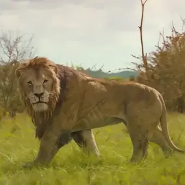 #HollywoodEdits #MovieClips #EpicScenes #CinematicMoments #ActionEdits #ViralClips #HDScenes #FilmEdits #ReelEdits #TrendingMovies