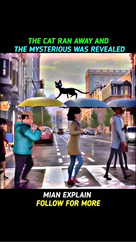 The cat ran away ... and the mysterious was revealed #creatorsearchinside #story #funnycatoon #flypシ #1million 