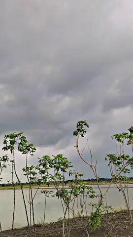 👨 lak wes megae alat langsung di cuci 🗣️ siap bersih ndan  #xyzbca #fyppppppppppppppppppppppp #trending #soundviral #petanimuda 