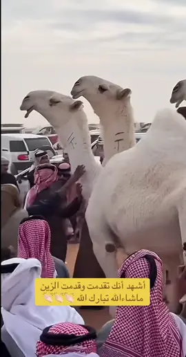 #سفر_الدغيلبي #سعود_العطاوي #السلطه 