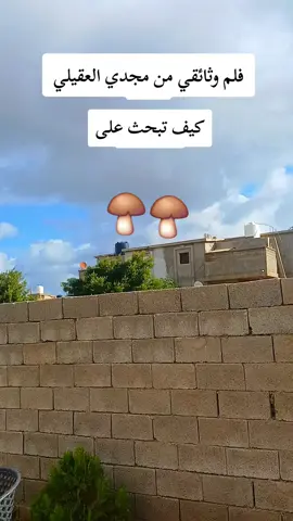 #فلم #وثائقي #المرج_بنغازي_البيضاء_طرابلس_ليبيا #طرابلس_بنغازي_المرج_البيضاء_درنه_طبرق #تاكنس_المرج_البيضاء_درنه_طبرق_مطروح 